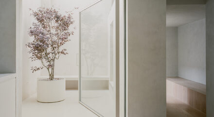 minimalism in automated pivot doors